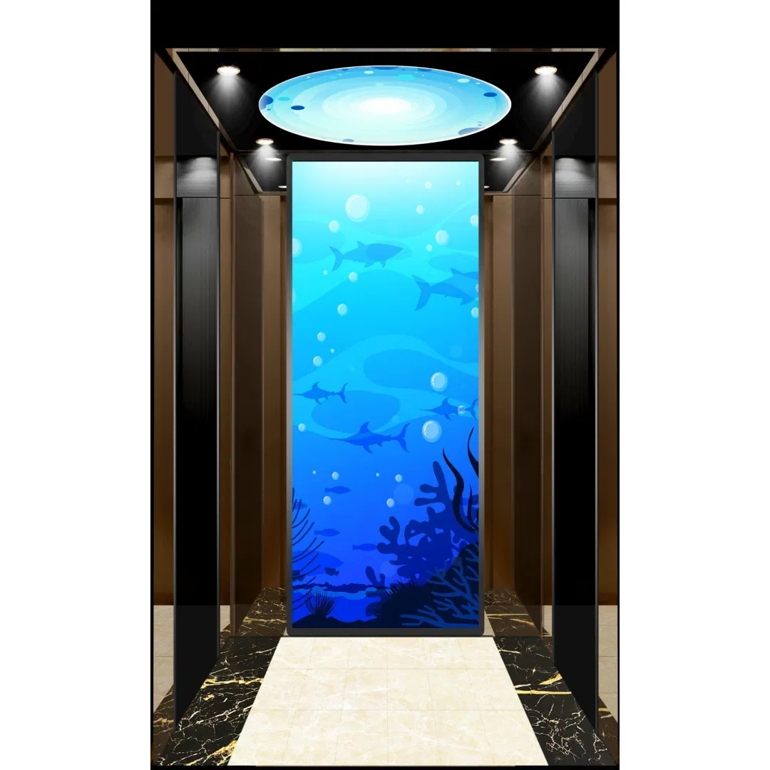 Villa Apartment Commercial Passenger Elevator 800kg Residential Home Electric Lift