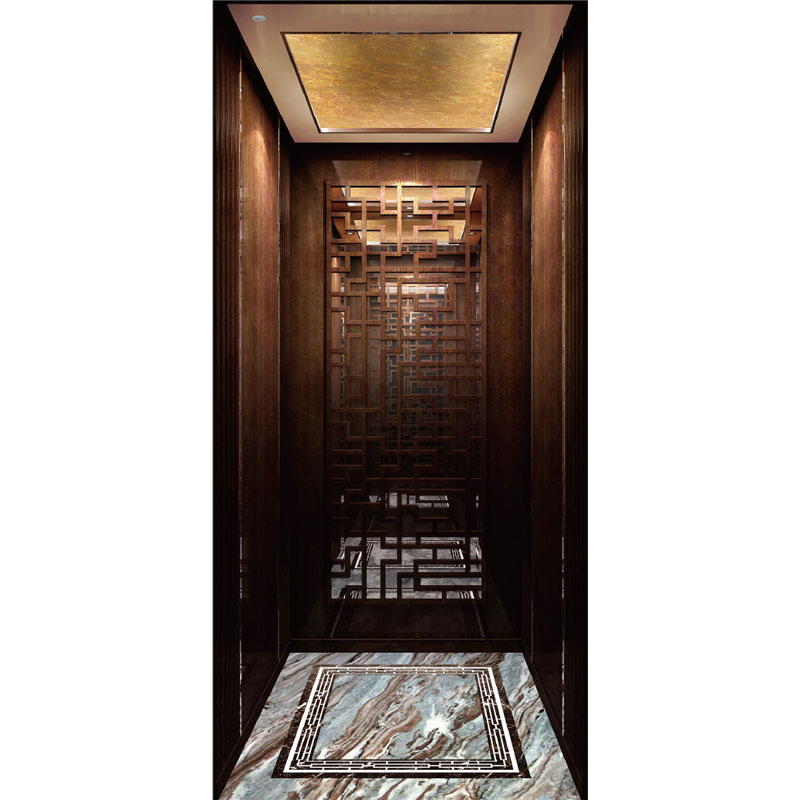 Simple Residential Passenger Elevator Home Lift