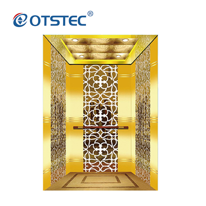 Otstec En81-41 Approved Passenger Residential Lift Traction Home Lift