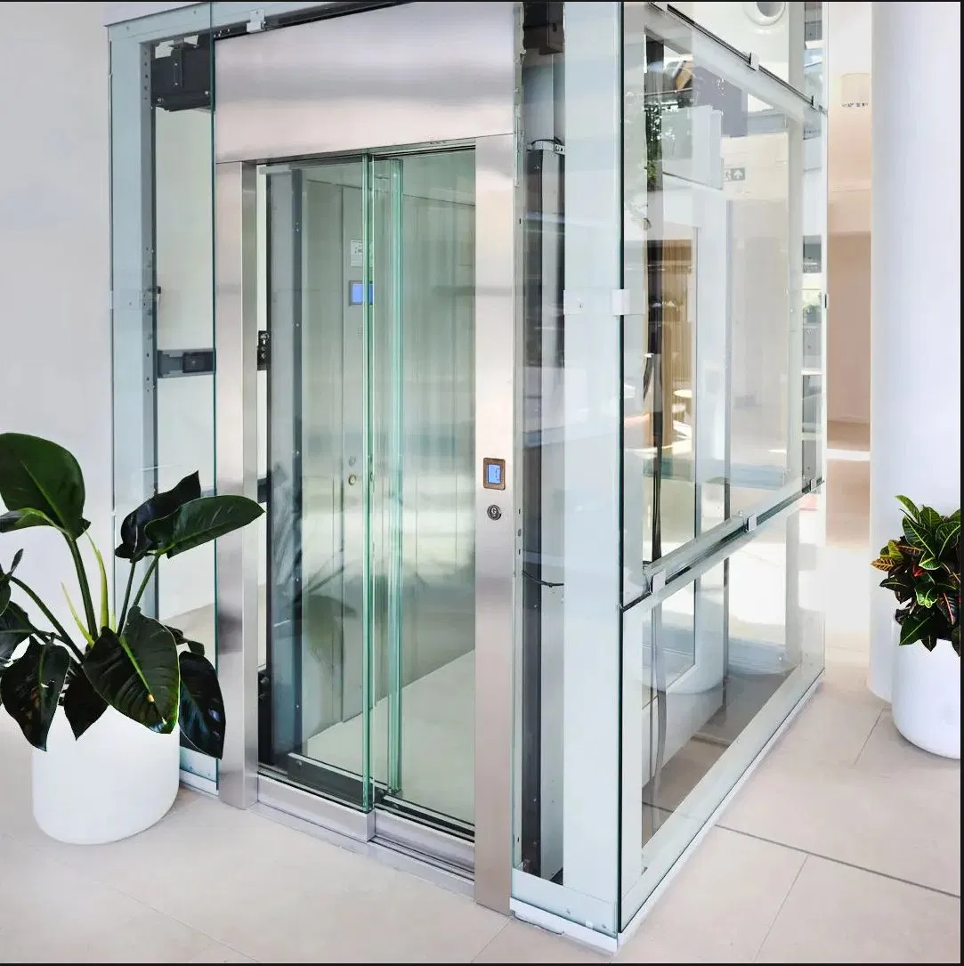 in Home Passenger Elevators Machine Roomless Residential Elevator Lift for House