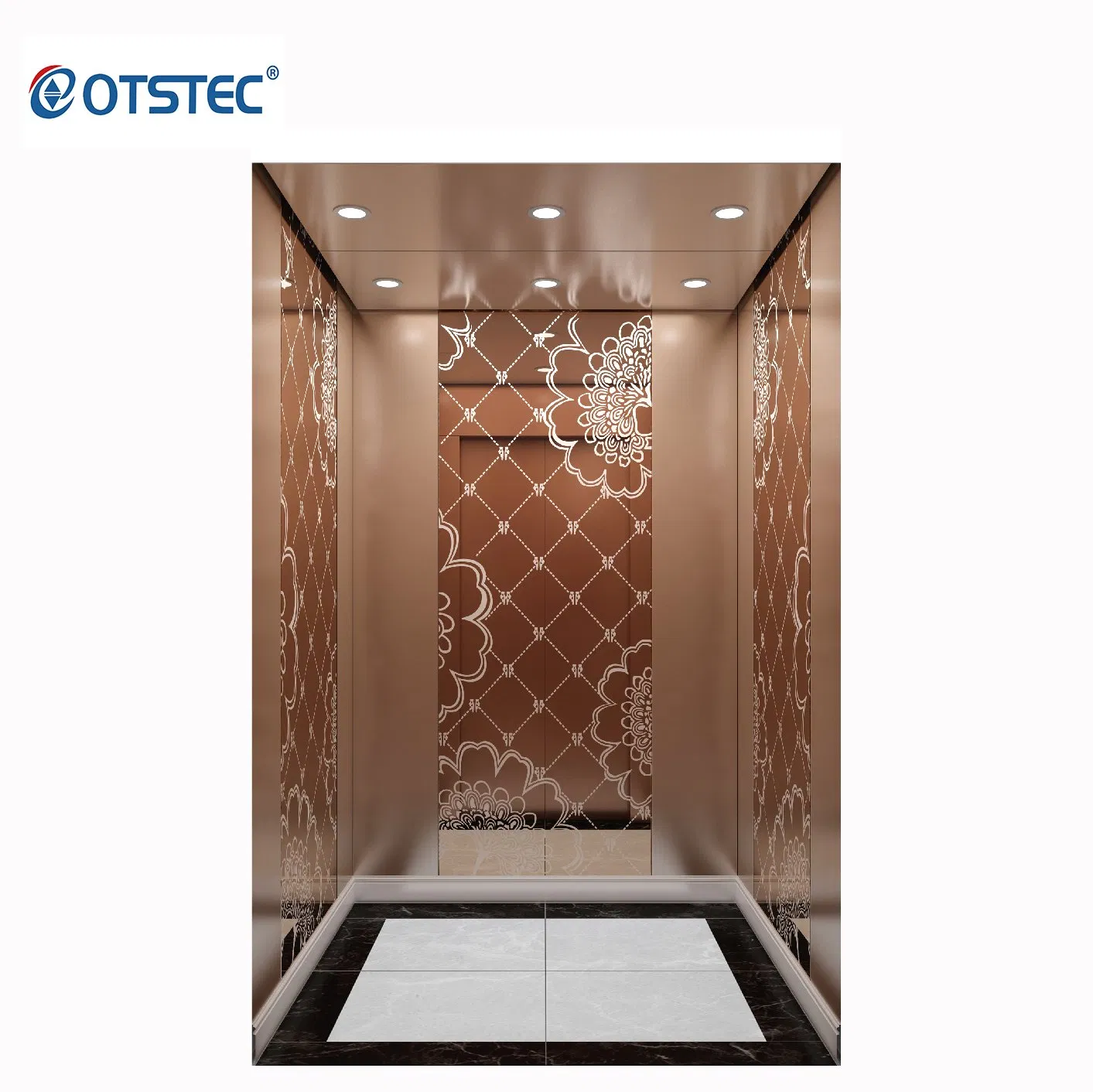 Otstec 5 Stops 5 Floors Cheap Small Home Elevator Residential Lift for Small Villa House Apartment