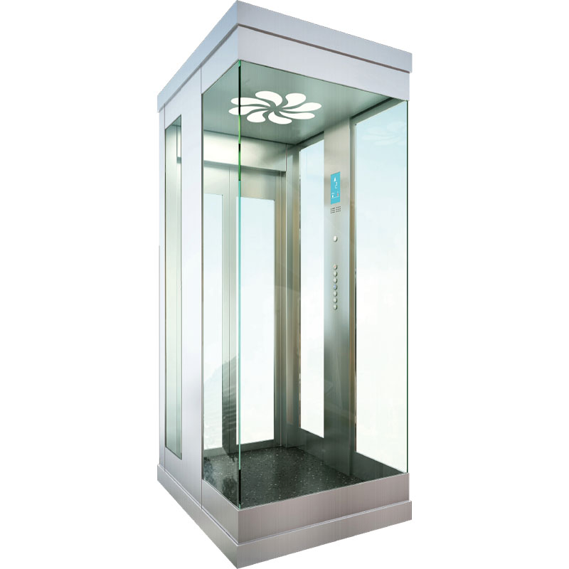 Simple Residential Passenger Elevator Home Lift