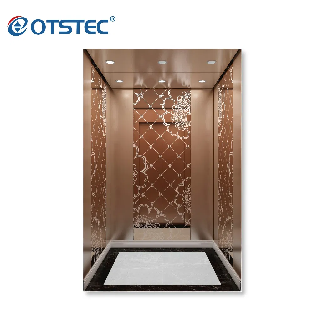 Most Popular Passenger Lift Traction Machine for Home Villas Residential