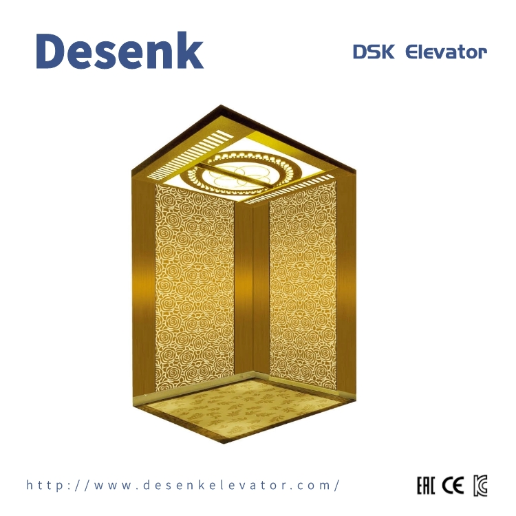 FUJI Elevator Villa Machine Room Passenger Home Elevator Lifts with Goods Residential Hotel