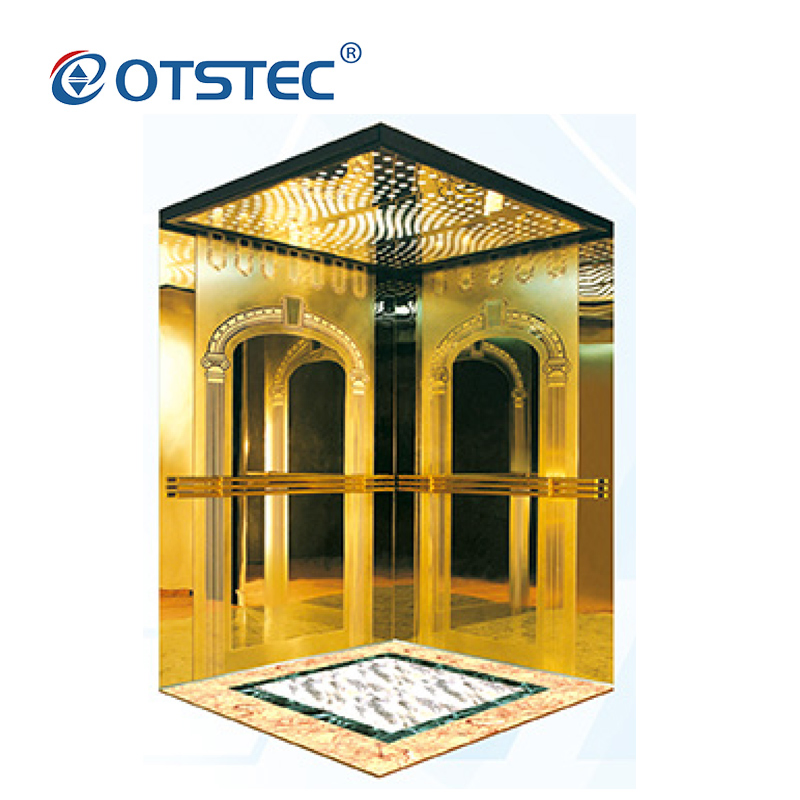 Otstec En81-41 Approved Passenger Residential Lift Traction Home Lift