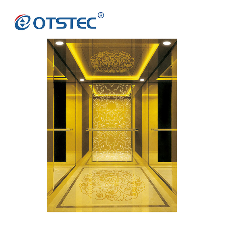Otstec En81-41 Approved Passenger Residential Lift Traction Home Lift