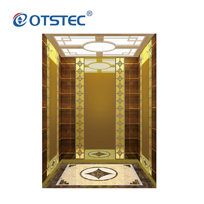 Otstec En81-41 Approved Passenger Residential Lift Traction Home Lift