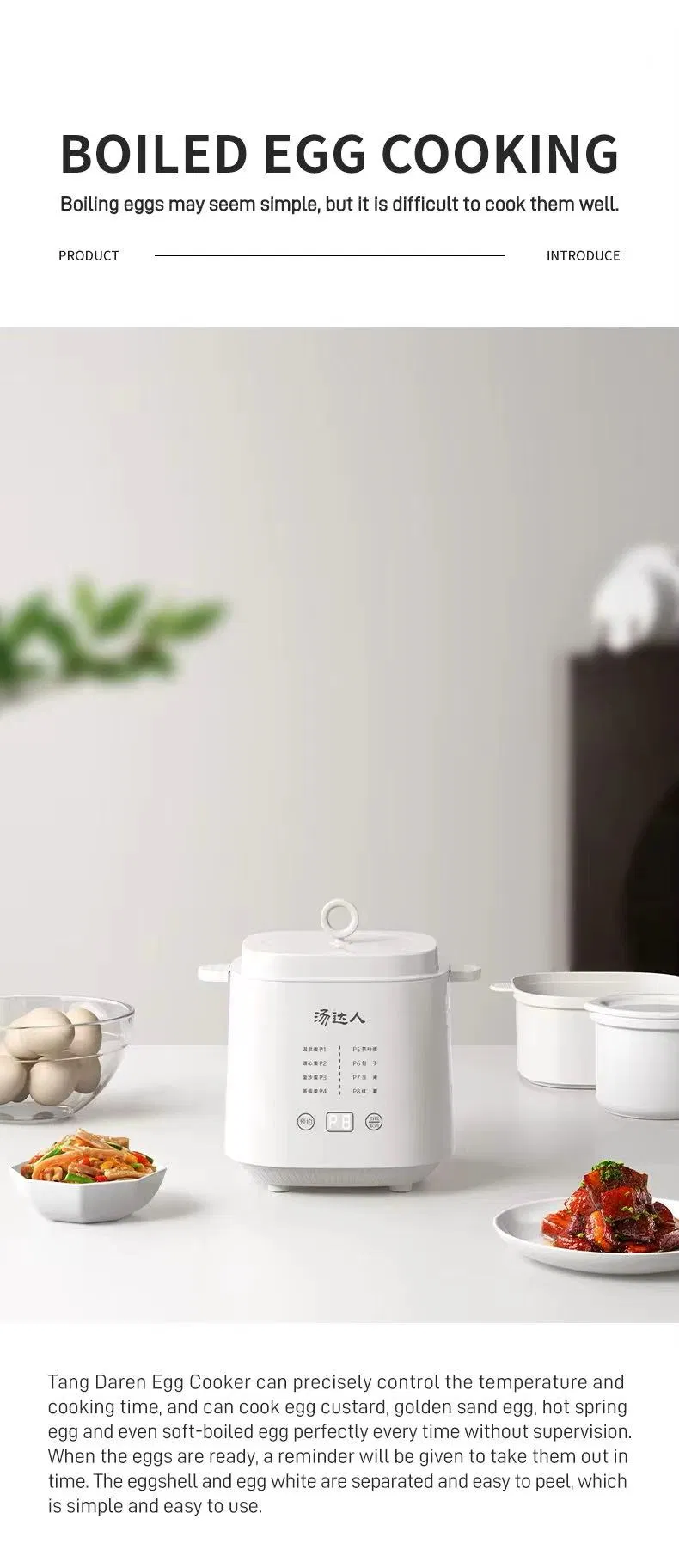 Multi-Function Egg Boiler