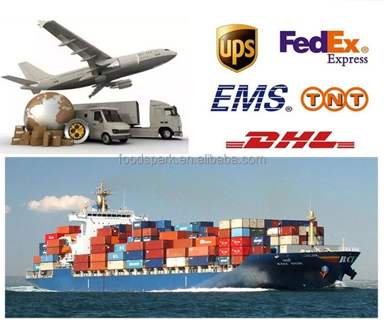 Shipping Logistics