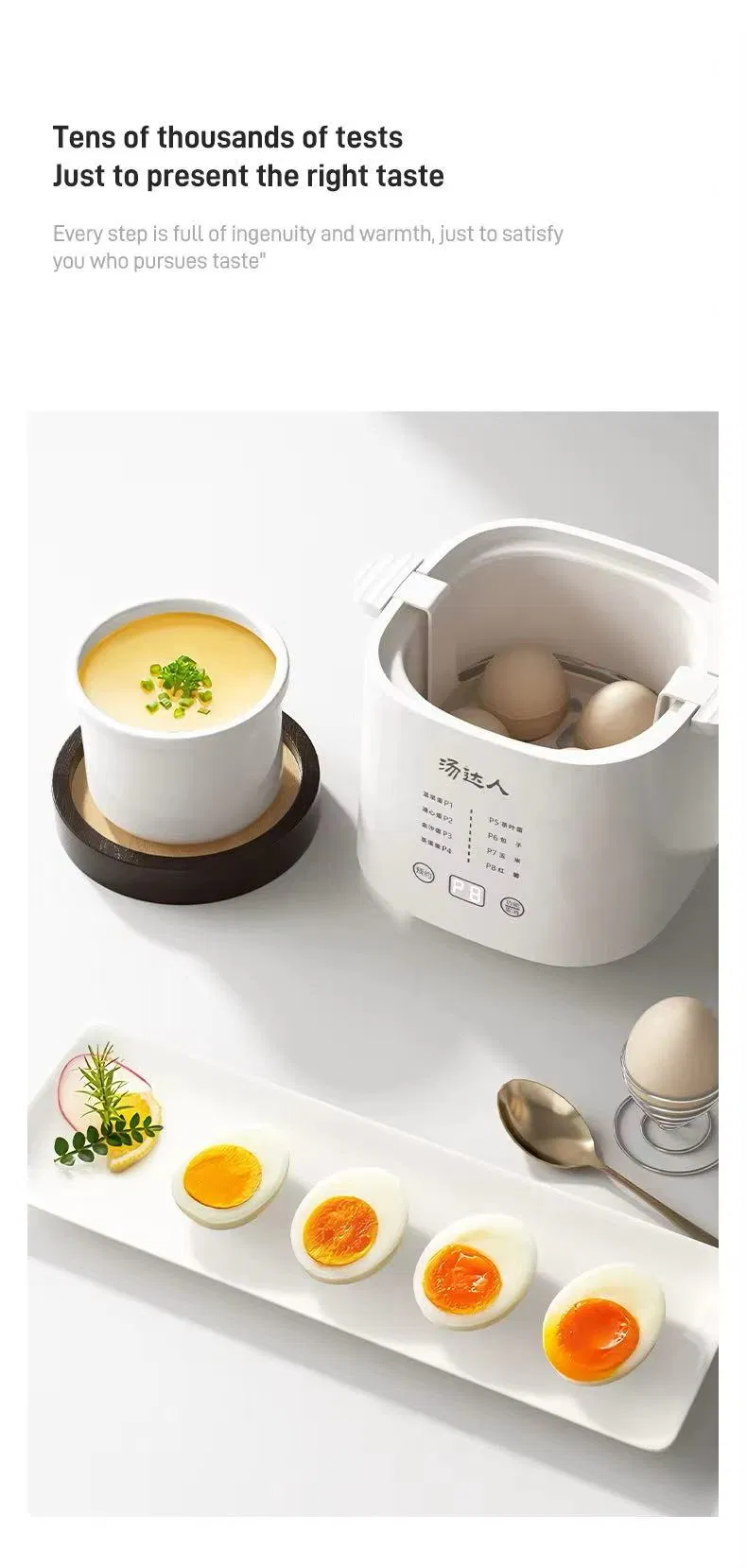 Multi-Function Egg Boiler