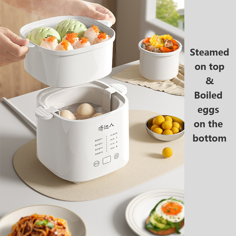 Customize Logo Multi-Function Egg Boiler with Auto off and Light Indicator