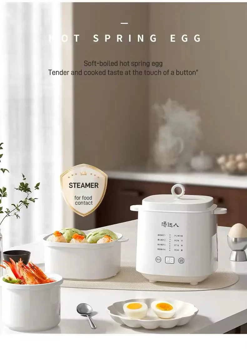 Multi-Function Egg Boiler