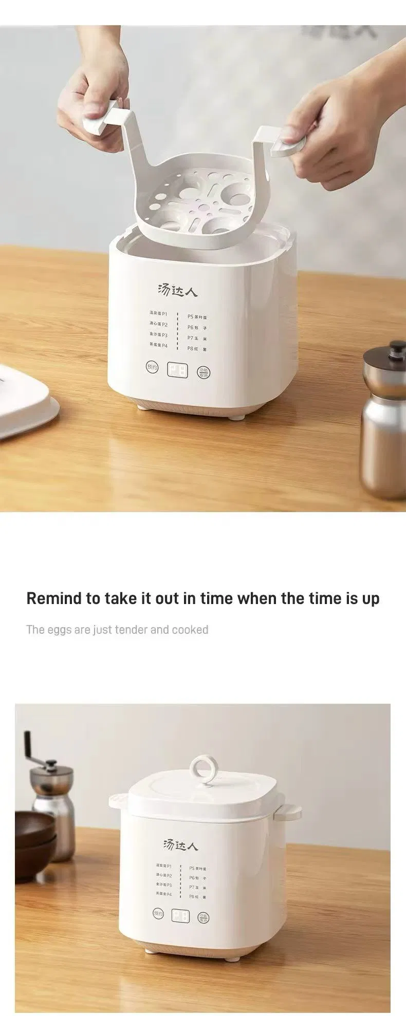 Multi-Function Egg Boiler