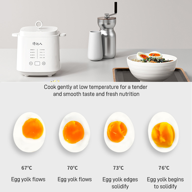 Customize Logo Multi-Function Egg Boiler with Auto off and Light Indicator