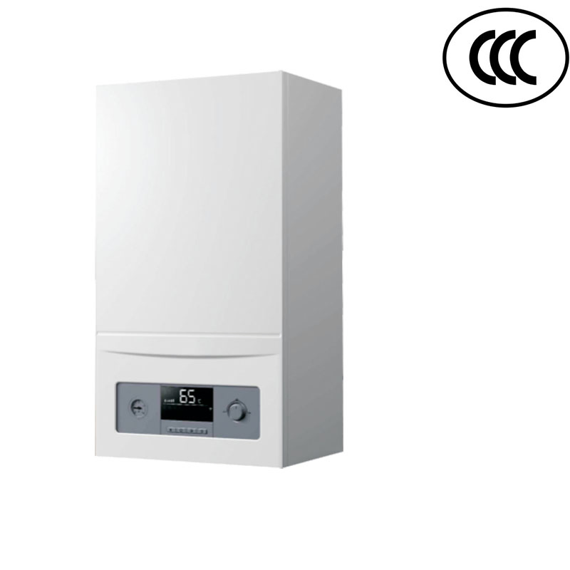 Heating Natural Gas Boilers for Home Double Heat Exchangers