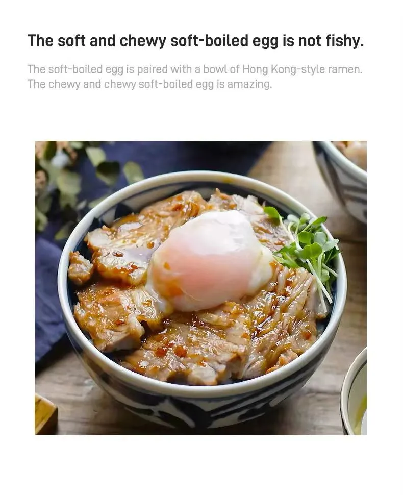 Multi-Function Egg Boiler