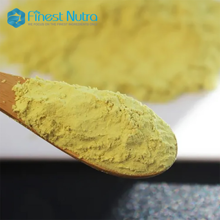 Healthcare Supplements Natural Bulk Sophora Japonica Extract Powder 98% Dihydrate Quercetin