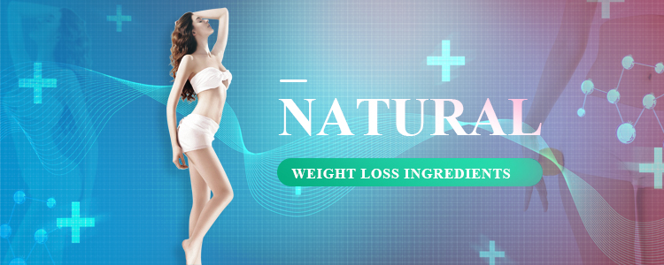 Garcinia Cambogia Banner