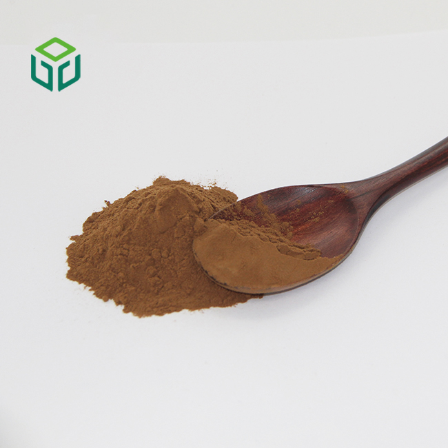 Best Selling Natural Organic Certified Dandelion Root Extract Powder Food Grade Drum Packaging Flavonoids Extract