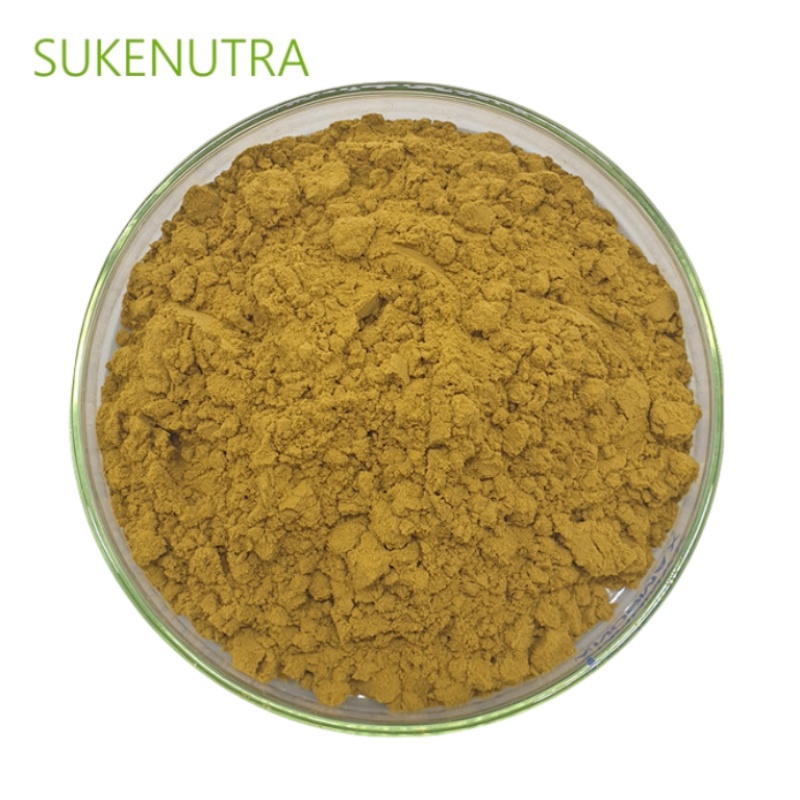 ISO22000 Certified Horny Goat Weed Extract 10% Icariin Standardized Powder, for Men's Health Supplements &amp; Sports Nutrition