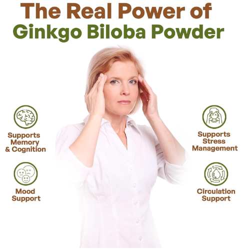High Quality Wild Organic Ginkgo Biloba Powder-Wholesale Immunity-Boosting Herbal Supplement with Drum Packaging Customisable