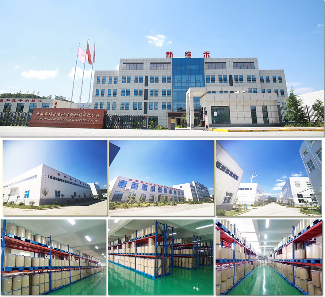 Natural Pumpkin Seed Powder Shipping and Logistics