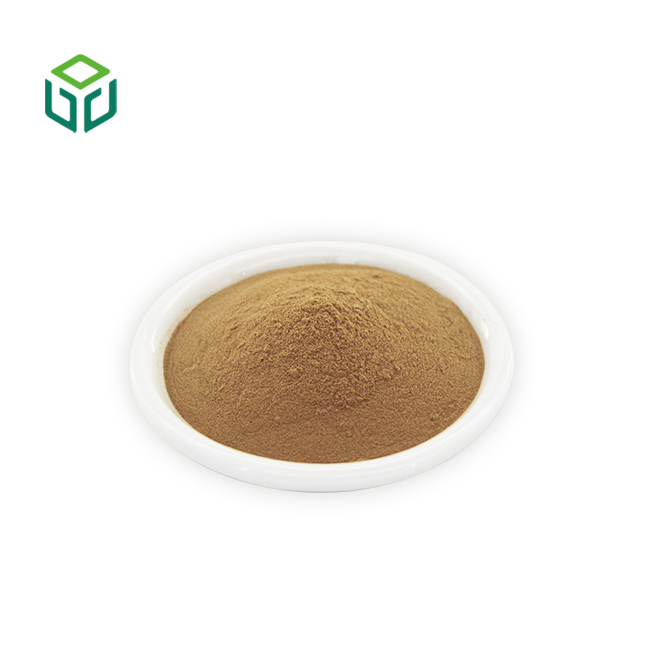 Food Grade Polyporus Umbellatus Extract Powder Polysaccharide Herbal Supplement 30%-50% Drum/Bottle Wholesale Bulk Supply