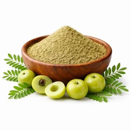 Gooseberry Powder Food Grade Herbal Ingredient Rich in Natural Nutrition for Health Foods Beverages Nutraceuticals Wellness