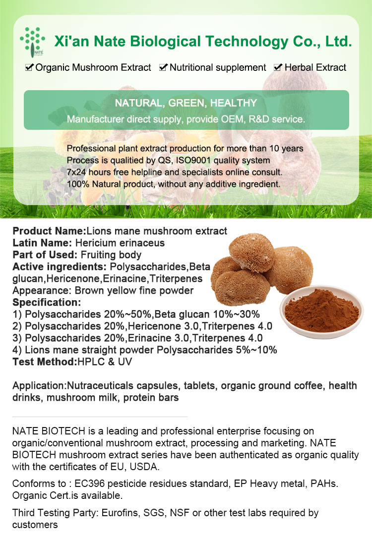 Lions Mane Mushroom Dual Extract Triterpenes 4.0 Hericenones Erinacines Bulk Powder