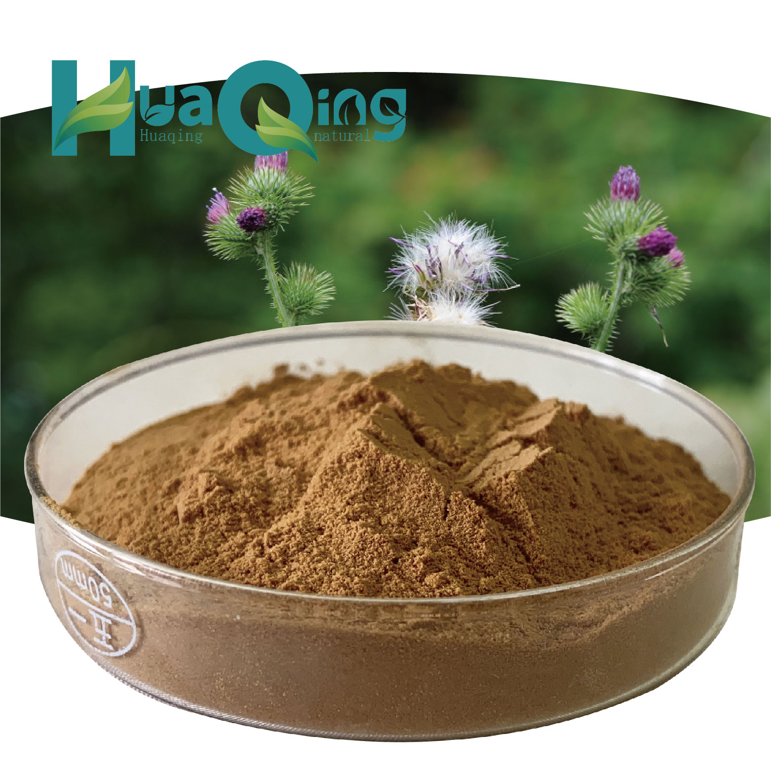 100% Pure Natural Organic Cirsium Japonicum Extract Powder Herb HPLC Tested Packed in Plastic Container