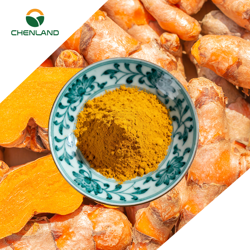 Food Grade Herbs Plant Extract CuminUP60 60% 100% Organic Turmeric Powder for Nutritional Supplements