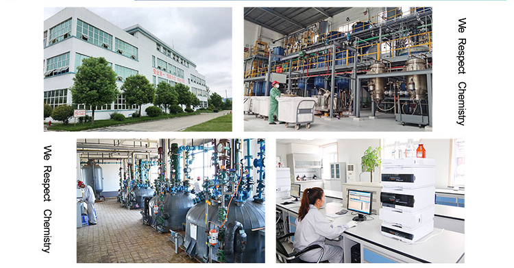 Our Factory Building