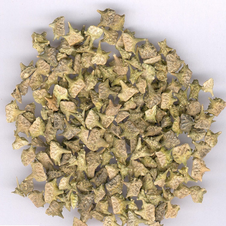 Hongda Supply Natural 90% Saponin Tribulus Terrestris Extract Powder