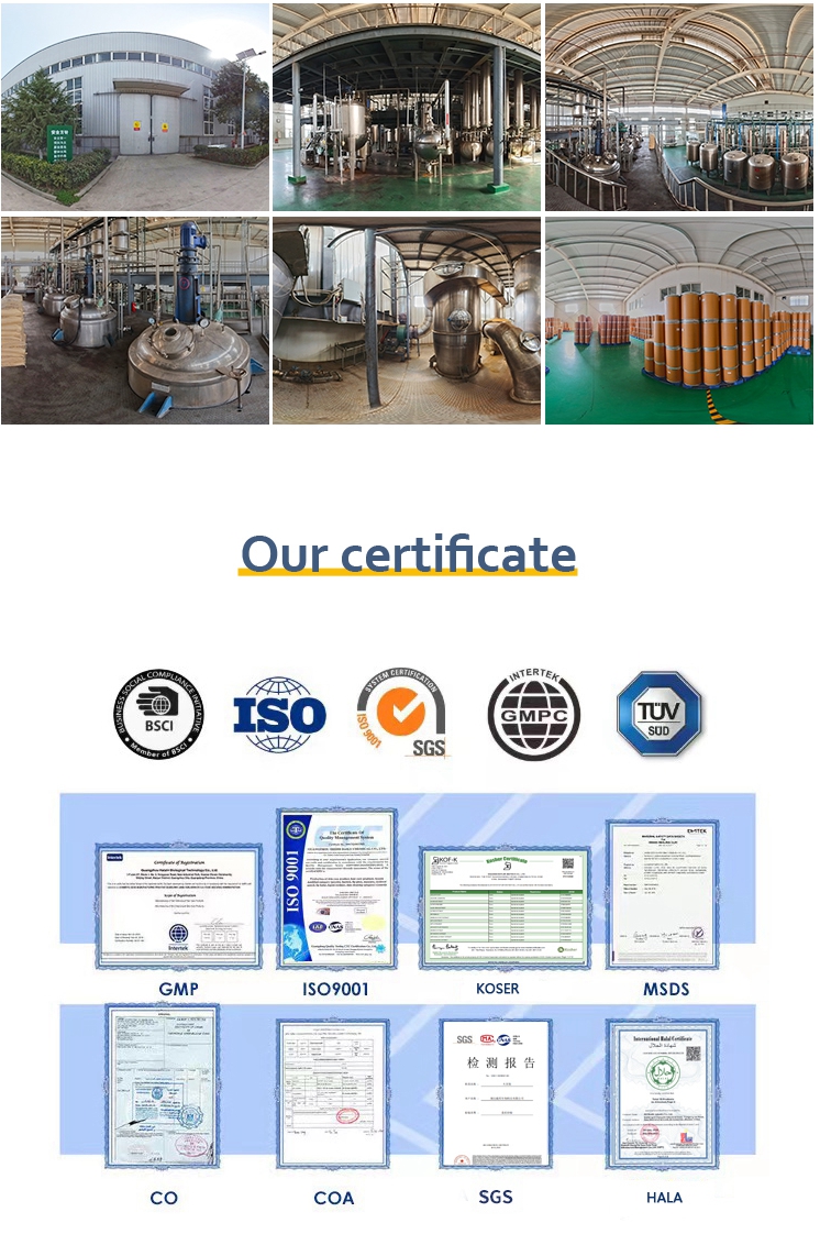 Halal Certified Standardized Cabbage Leaf Extract Food & Cosmetic Grade for Functional Food and Skincare Manufacturing
