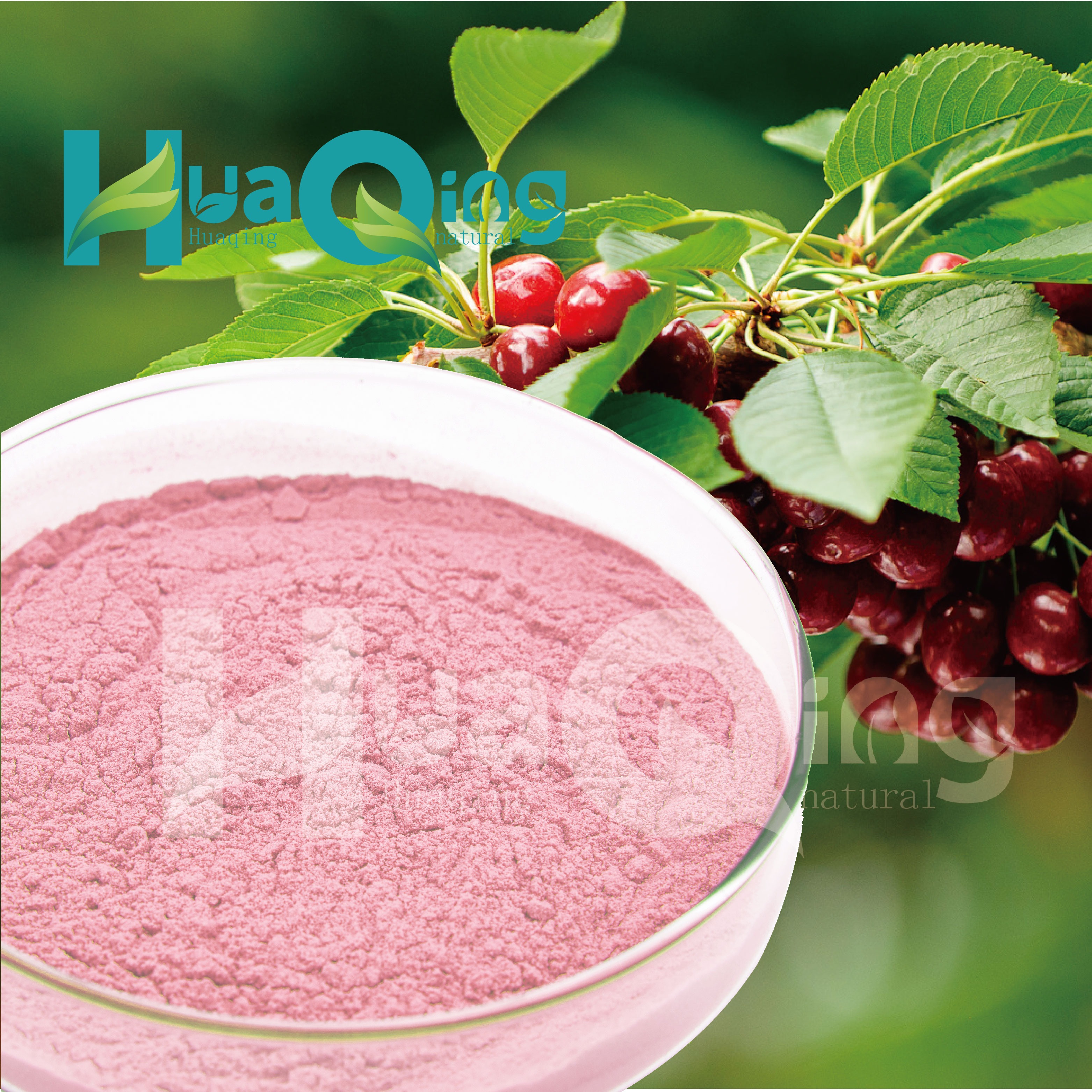 Acerola Cherry Powder Packaging