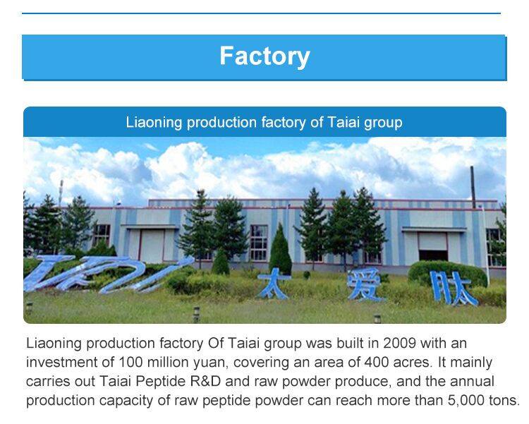 Production Factory 1