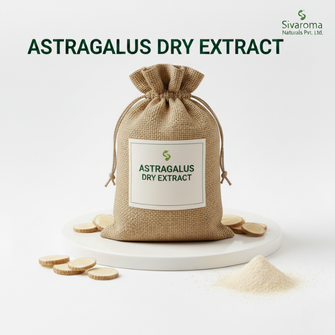 Astragalus Extract Powder Tailored for Industrial Applications Requiring Consistent Plant Derived Inputs