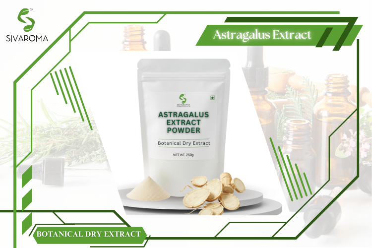 Astragalus Extract Powder