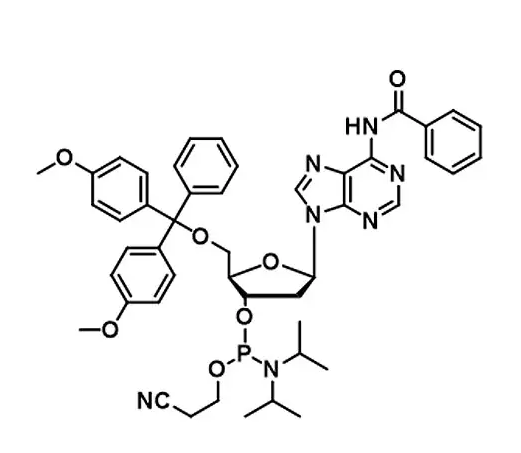 Oligonucleotide Synthesis Chemicals, Universal Phosphoramidite With Best Price