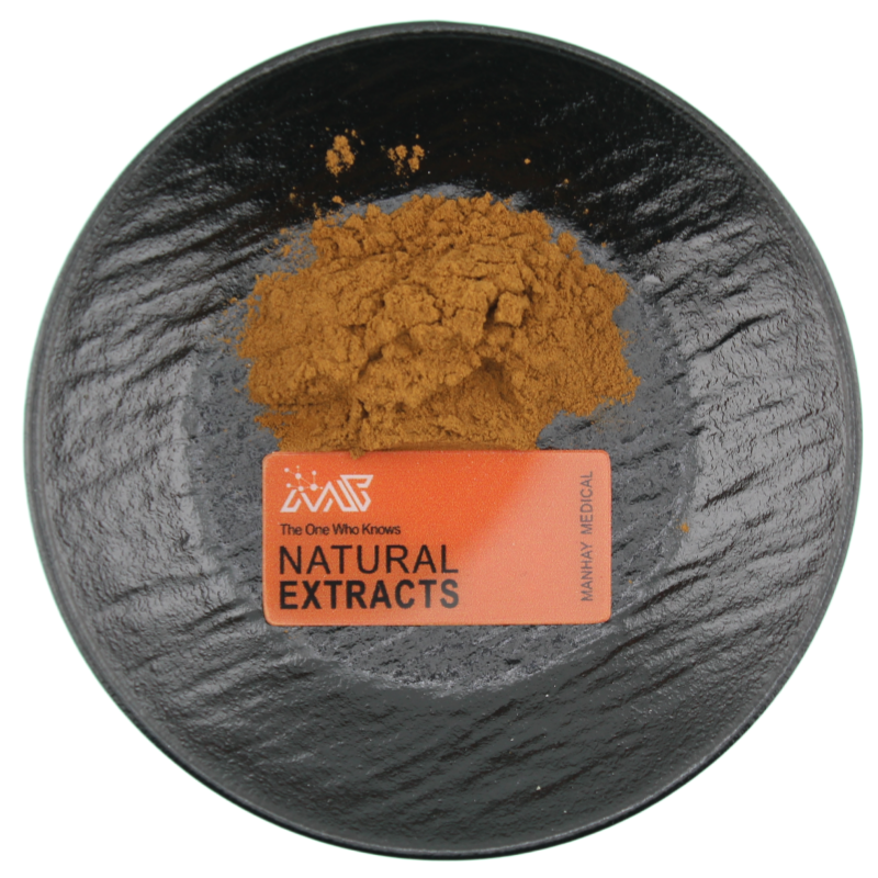 Factory Supply High Quality Raw Material Bulk Supply OEM Lotus Leaf Extract