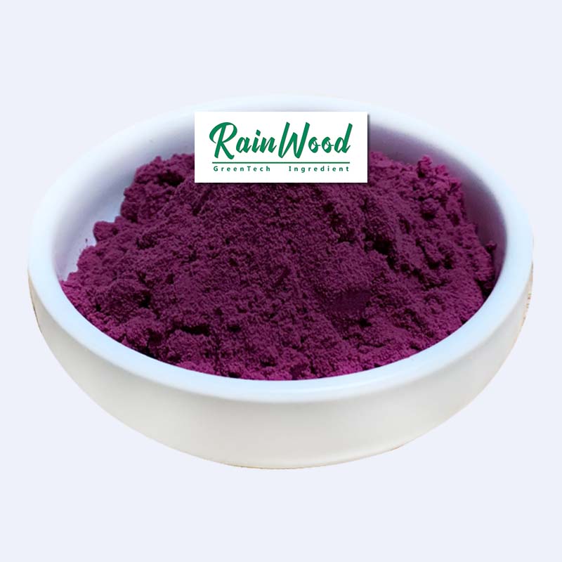 Pure Natural Pink Pitaya Powder Natural Colorant Dragon Fruit Pitaya Powder