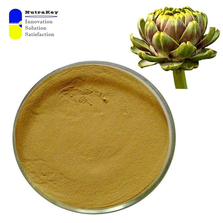 Standardized Artichoke Extract 40:1 - Liver Support Supplement, High in Chlorogenic Acid