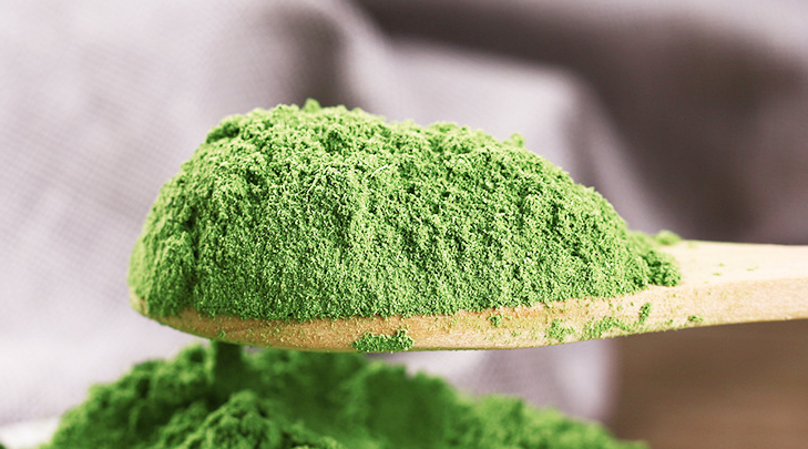 Moringa Application