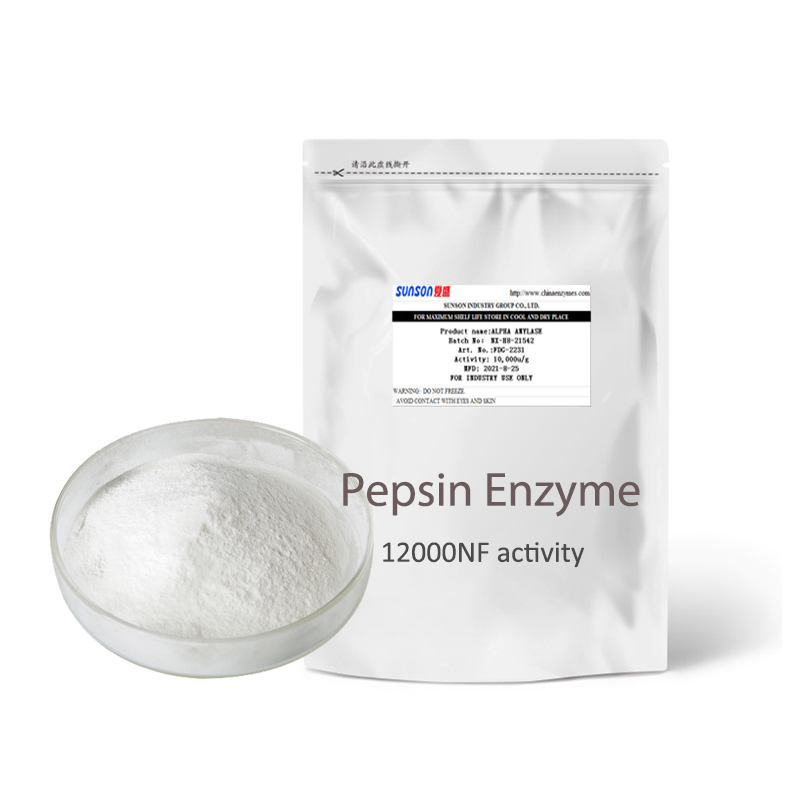 Pepsin Enzyme Activity Options 2