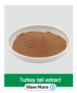 Lions Mane Mushroom Dual Extract Triterpenes 4.0 Hericenones Erinacines Bulk Powder
