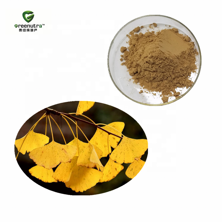 Ginkgo Biloba Extract Powder and Flavonoids Ginkgolide Ginkgo Biloba Extract Standardized Ginkgo Biloba Extract Terpene Lactones