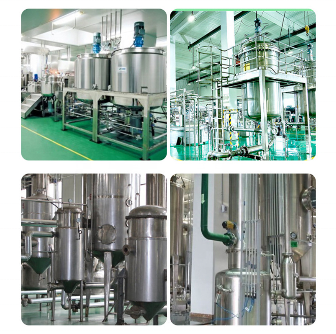 Halal Certified Standardized Cabbage Leaf Extract Food &amp; Cosmetic Grade for Functional Food and Skincare Manufacturing