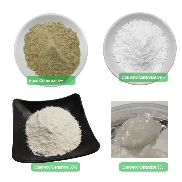 Ceramide Powder Benefits