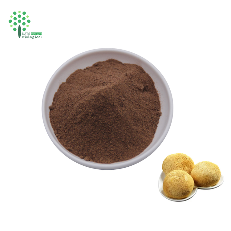 Lions Mane Mushroom Dual Extract Triterpenes 4.0 Hericenones Erinacines Bulk Powder