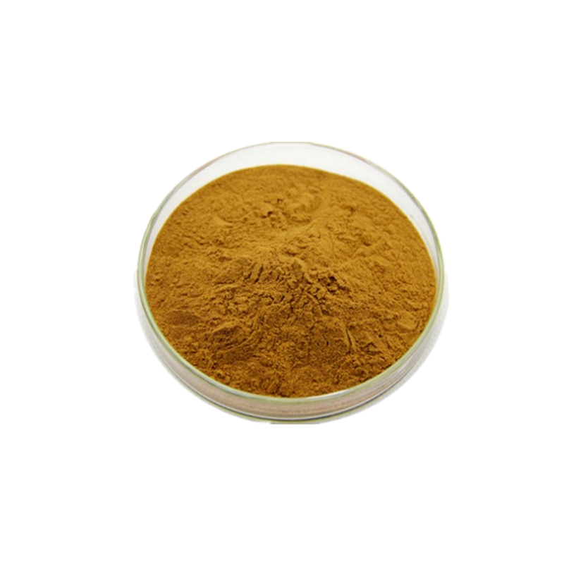 100% Natural Organic Sarsaparilla Extract Powder High Purity Immune Support Supplement Anti-Inflammatory Herb Bulk Wholesale